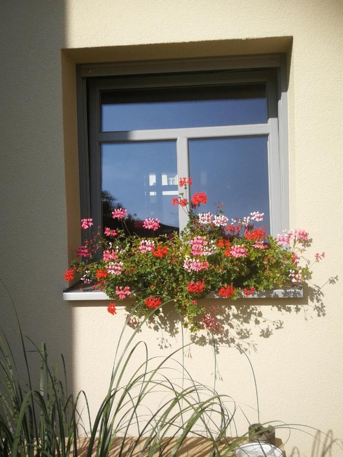 Appartementhaus Nienburg 외부 사진